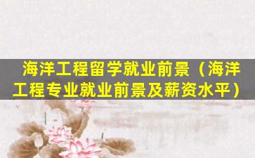 海洋工程留学就业前景（海洋工程专业就业前景及薪资水平）