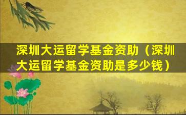 深圳大运留学基金资助（深圳大运留学基金资助是多少钱）