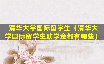 清华大学国际留学生（清华大学国际留学生助学金都有哪些）