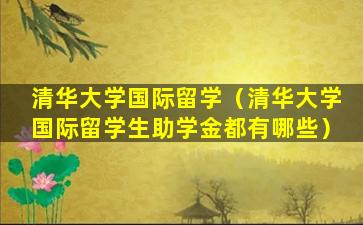清华大学国际留学（清华大学国际留学生助学金都有哪些）
