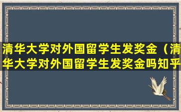 清华大学对外国留学生发奖金（清华大学对外国留学生发奖金吗知乎）