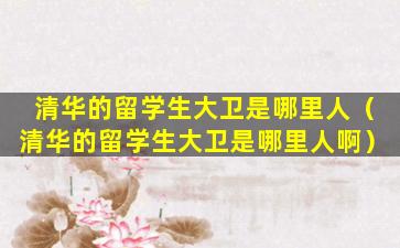 清华的留学生大卫是哪里人（清华的留学生大卫是哪里人啊）