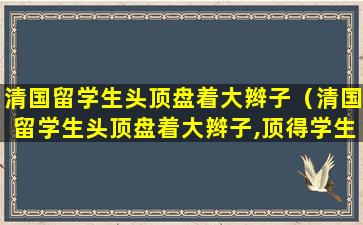 清国留学生头顶盘着大辫子（清国留学生头顶盘着大辫子,顶得学生制图片）