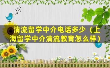 清流留学中介电话多少（上海留学中介清流教育怎么样）