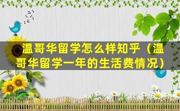 温哥华留学怎么样知乎（温哥华留学一年的生活费情况）
