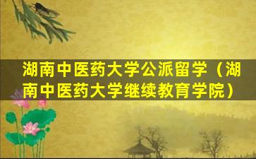 湖南中医药大学公派留学（湖南中医药大学继续教育学院）