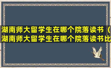 湖南师大留学生在哪个院落读书（湖南师大留学生在哪个院落读书比较好）