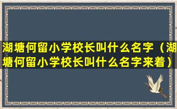 湖塘何留小学校长叫什么名字（湖塘何留小学校长叫什么名字来着）