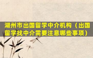 湖州市出国留学中介机构（出国留学找中介需要注意哪些事项）