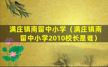 满庄镇南留中小学（满庄镇南留中小学2010校长是谁）