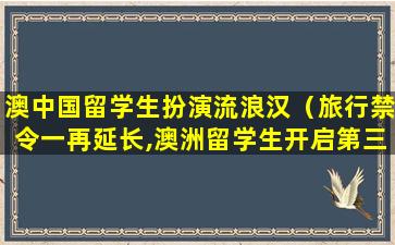 澳中国留学生扮演流浪汉（旅行禁令一再延长,澳洲留学生开启第三国“流浪”计划）