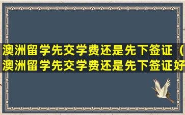 澳洲留学先交学费还是先下签证（澳洲留学先交学费还是先下签证好）