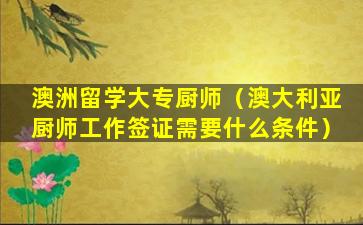 澳洲留学大专厨师（澳大利亚厨师工作签证需要什么条件）