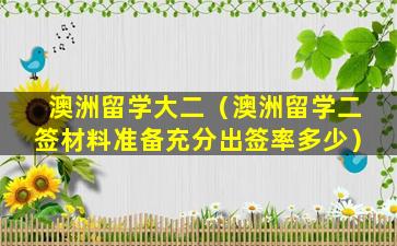 澳洲留学大二（澳洲留学二签材料准备充分出签率多少）