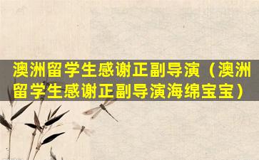 澳洲留学生感谢正副导演（澳洲留学生感谢正副导演海绵宝宝）