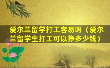 爱尔兰留学打工容易吗（爱尔兰留学生打工可以挣多少钱）