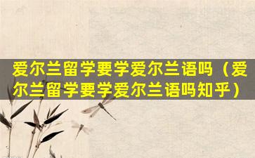爱尔兰留学要学爱尔兰语吗（爱尔兰留学要学爱尔兰语吗知乎）