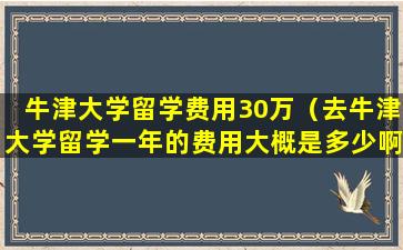 牛津大学留学费用30万（去牛津大学留学一年的费用大概是多少啊）