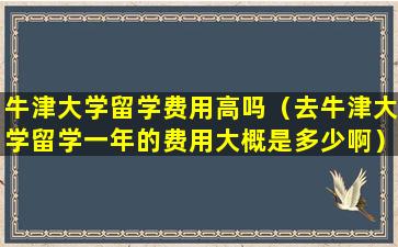 牛津大学留学费用高吗（去牛津大学留学一年的费用大概是多少啊）