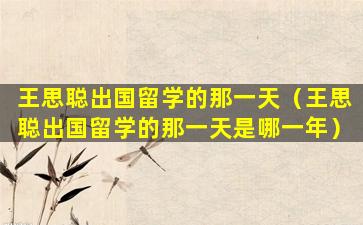 王思聪出国留学的那一天（王思聪出国留学的那一天是哪一年）