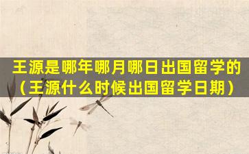 王源是哪年哪月哪日出国留学的（王源什么时候出国留学日期）
