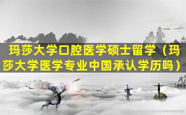玛莎大学口腔医学硕士留学（玛莎大学医学专业中国承认学历吗）