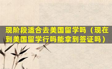 现阶段适合去美国留学吗（现在到美国留学行吗能拿到签证吗）