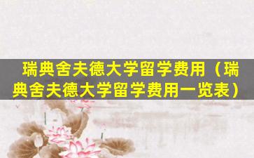 瑞典舍夫德大学留学费用（瑞典舍夫德大学留学费用一览表）
