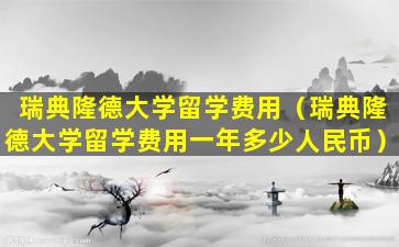 瑞典隆德大学留学费用（瑞典隆德大学留学费用一年多少人民币）
