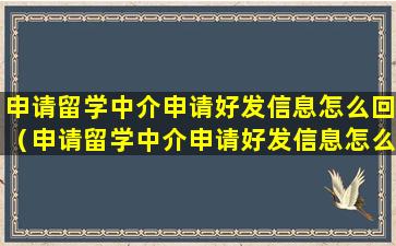 申请留学中介申请好发信息怎么回（申请留学中介申请好发信息怎么回复呢）