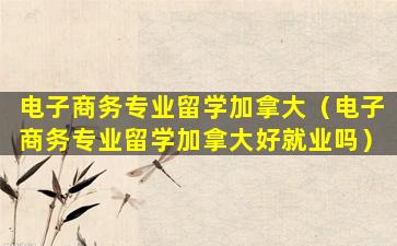 电子商务专业留学加拿大（电子商务专业留学加拿大好就业吗）