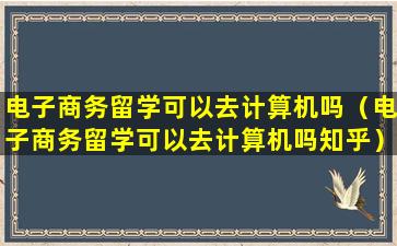 电子商务留学可以去计算机吗（电子商务留学可以去计算机吗知乎）