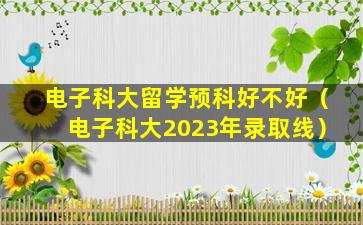 电子科大留学预科好不好（电子科大2023年录取线）