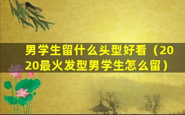 男学生留什么头型好看（2020最火发型男学生怎么留）
