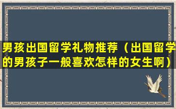 男孩出国留学礼物推荐（出国留学的男孩子一般喜欢怎样的女生啊）