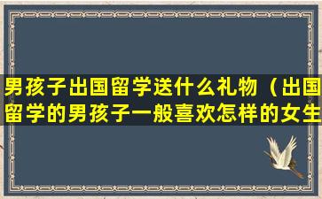 男孩子出国留学送什么礼物（出国留学的男孩子一般喜欢怎样的女生啊）
