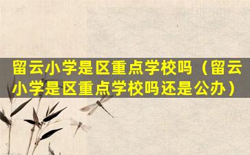 留云小学是区重点学校吗（留云小学是区重点学校吗还是公办）