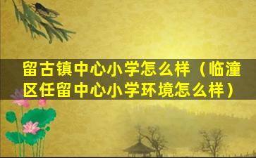 留古镇中心小学怎么样（临潼区任留中心小学环境怎么样）