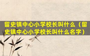 留史镇中心小学校长叫什么（留史镇中心小学校长叫什么名字）