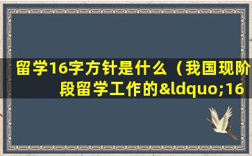留学16字方针是什么（我国现阶段留学工作的“16字方针”将工作重点放在）
