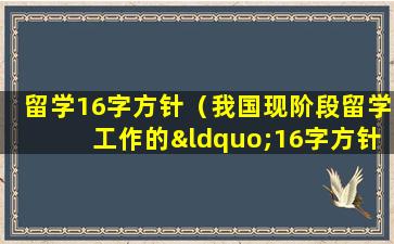 留学16字方针（我国现阶段留学工作的“16字方针”将工作重点放在）