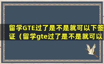 留学GTE过了是不是就可以下签证（留学gte过了是不是就可以下签证）