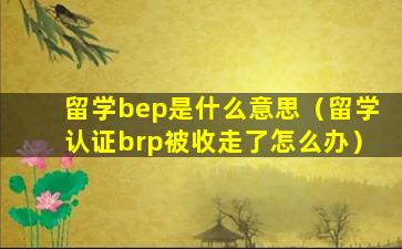 留学bep是什么意思（留学认证brp被收走了怎么办）