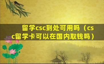 留学csc到处可用吗（csc留学卡可以在国内取钱吗）