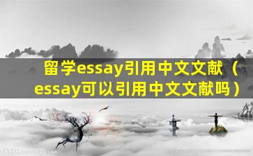 留学essay引用中文文献（essay可以引用中文文献吗）