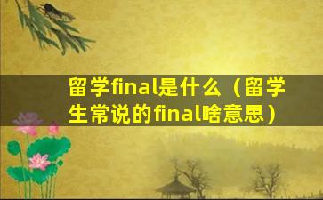 留学final是什么（留学生常说的final啥意思）