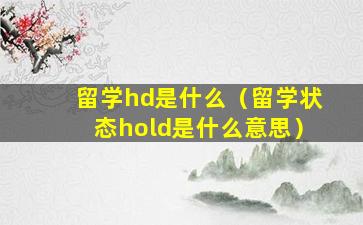 留学hd是什么（留学状态hold是什么意思）