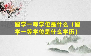 留学一等学位是什么（留学一等学位是什么学历）