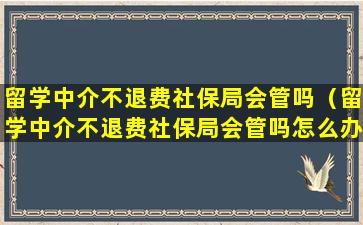 留学中介不退费社保局会管吗（留学中介不退费社保局会管吗怎么办）