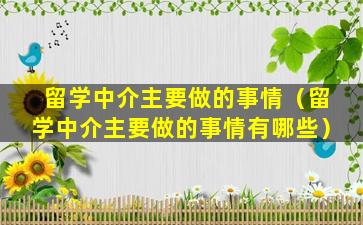 留学中介主要做的事情（留学中介主要做的事情有哪些）